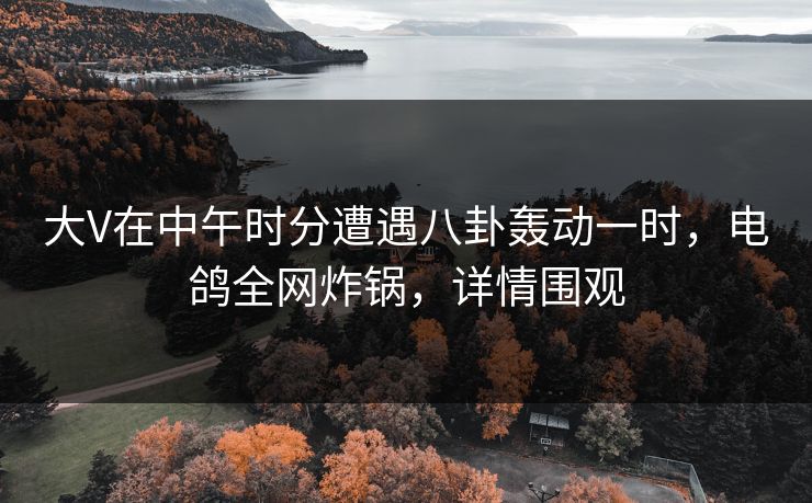 大V在中午时分遭遇八卦轰动一时，电鸽全网炸锅，详情围观