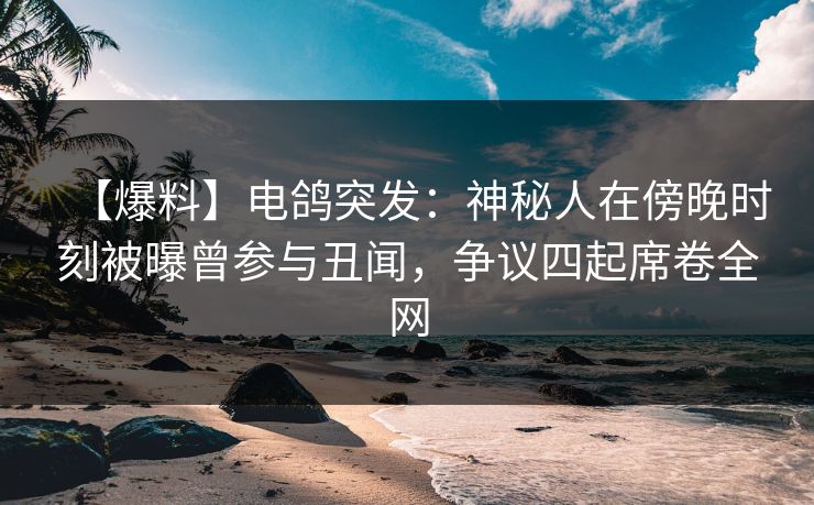 【爆料】电鸽突发：神秘人在傍晚时刻被曝曾参与丑闻，争议四起席卷全网
