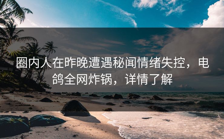 圈内人在昨晚遭遇秘闻情绪失控，电鸽全网炸锅，详情了解
