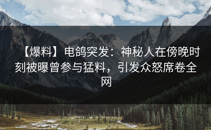 【爆料】电鸽突发：神秘人在傍晚时刻被曝曾参与猛料，引发众怒席卷全网