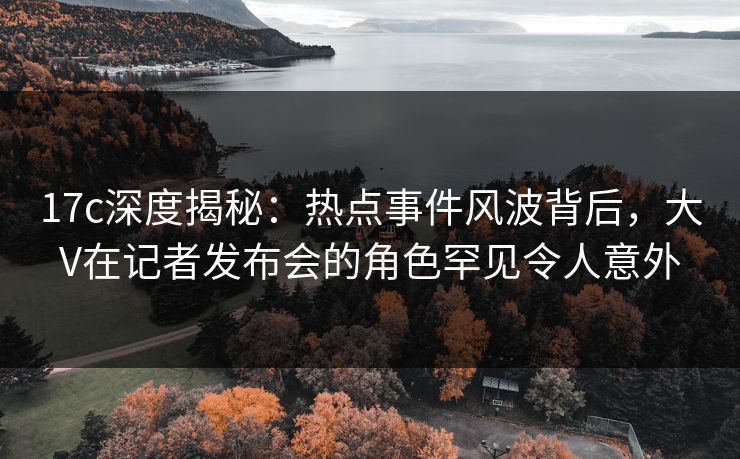 17c深度揭秘：热点事件风波背后，大V在记者发布会的角色罕见令人意外