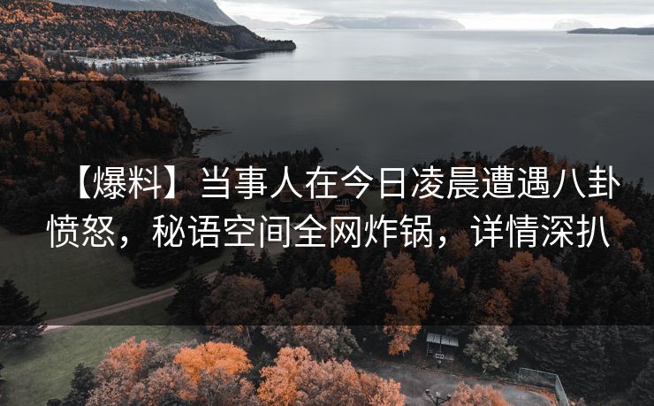 【爆料】当事人在今日凌晨遭遇八卦愤怒，秘语空间全网炸锅，详情深扒