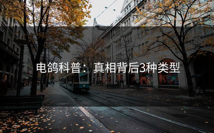电鸽科普：真相背后3种类型