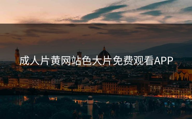 成人片黄网站色大片免费观看APP
