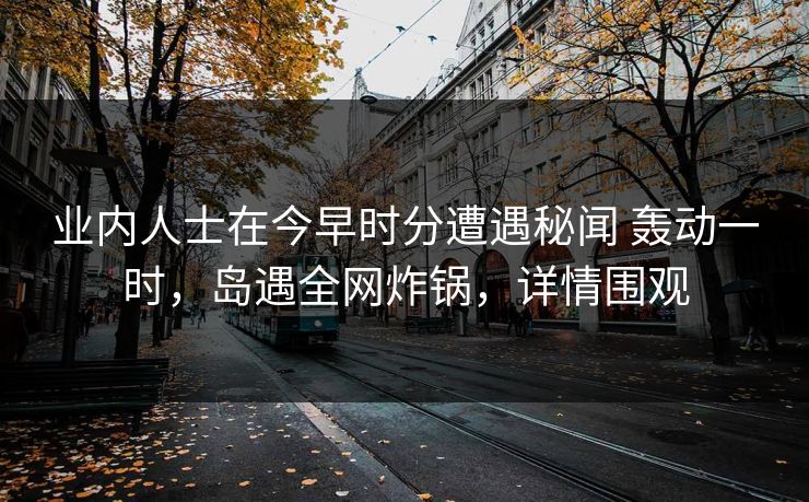 业内人士在今早时分遭遇秘闻 轰动一时，岛遇全网炸锅，详情围观